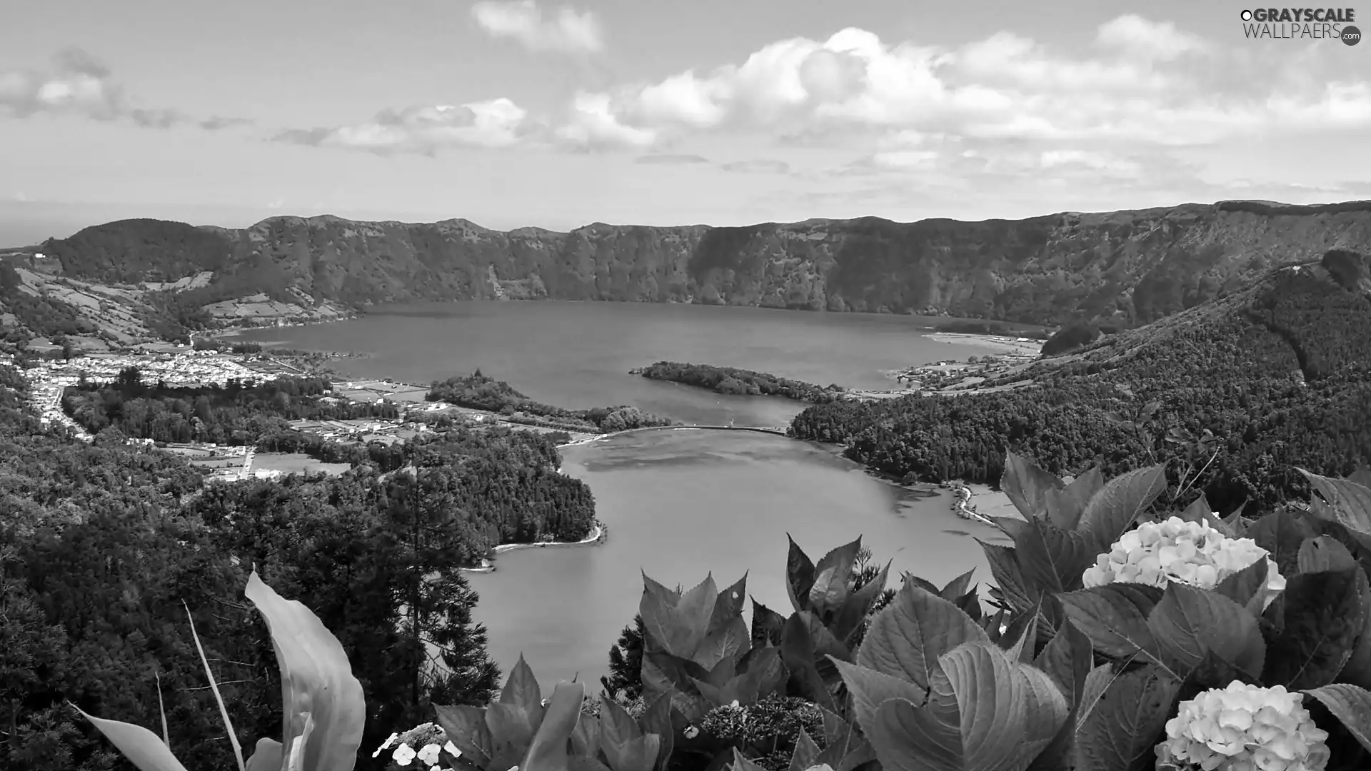 lake, crater, town, volcano, Azores, woods, hydrangeas