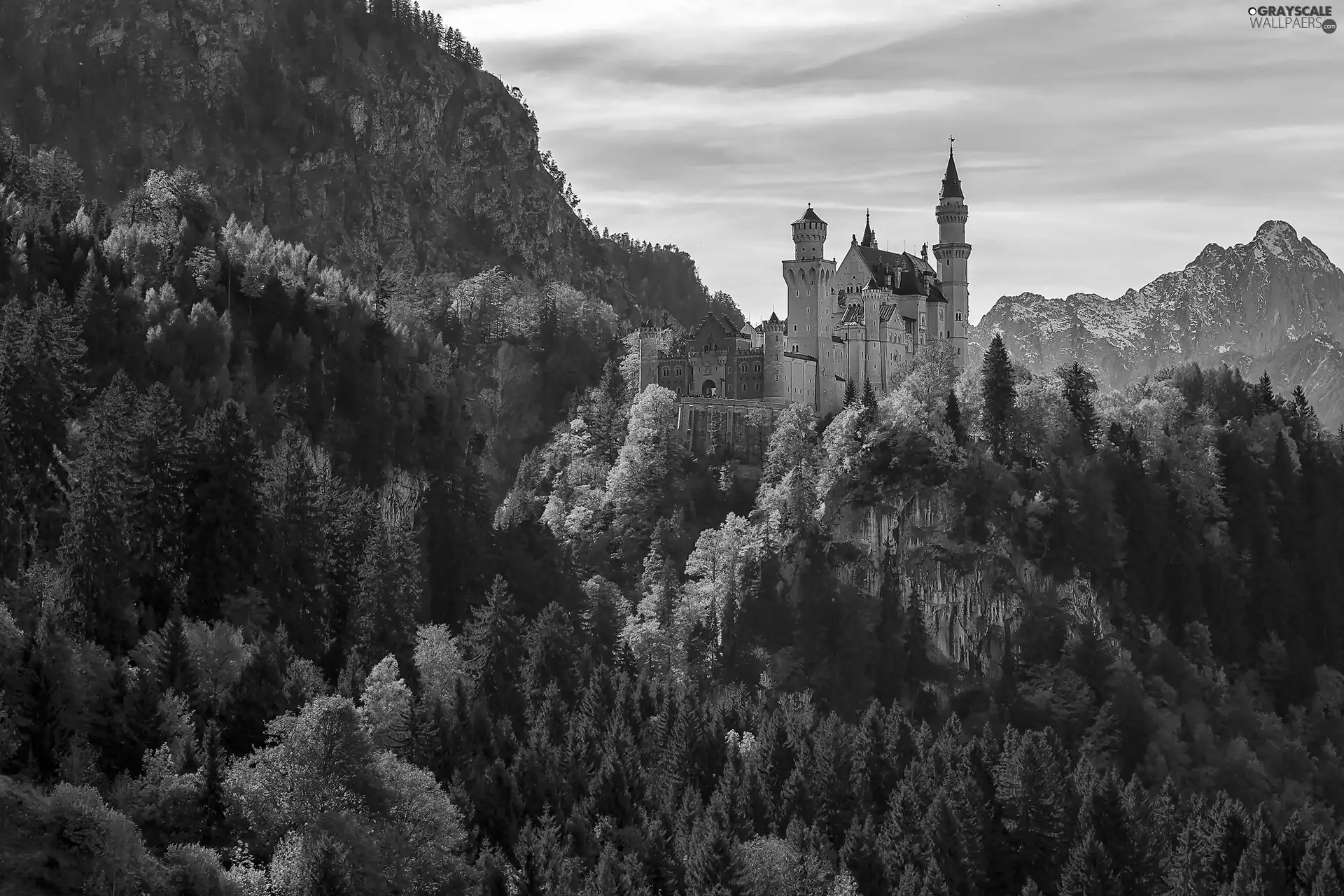 Castle, Germany, woods, Mountains, autumn, Neuschwanstein