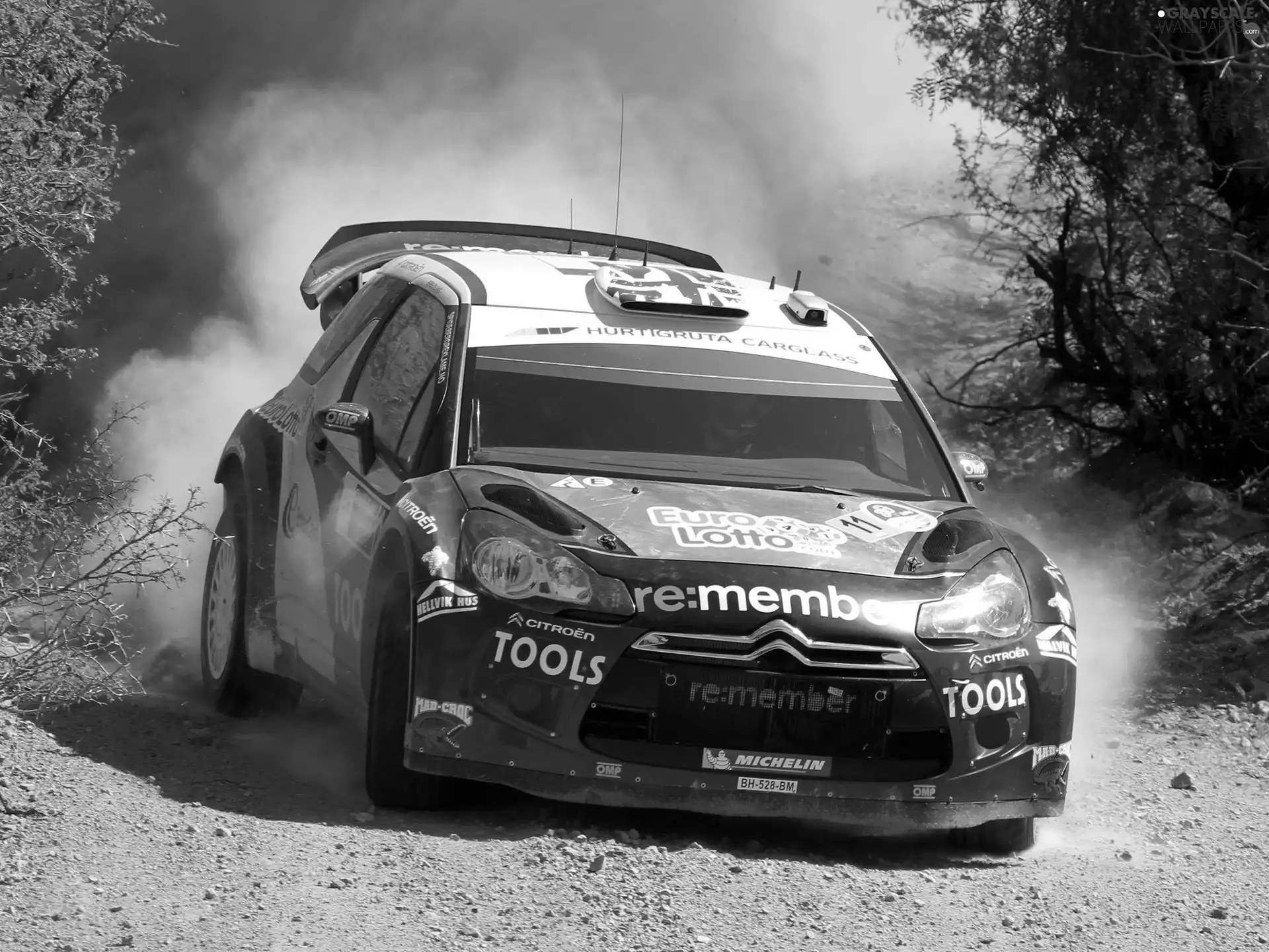 Way, Citroen C4, WRC