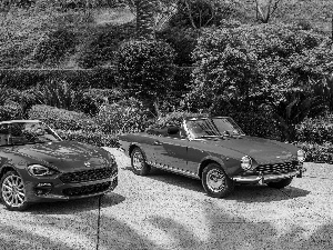 Fiat 124 Spider, Red, cars