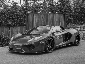 McLaren, MP4-12C