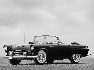 1956, Cabrio, Ford, Thunderbird, antique