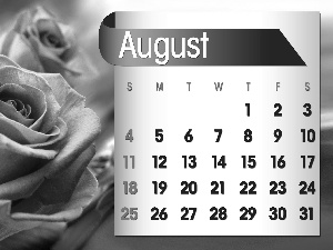Calendar, august, 2013, rose