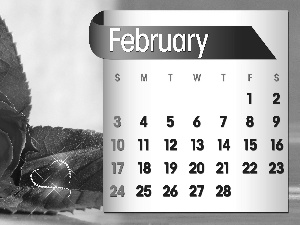 Calendar, february, 2013, rose