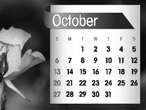 Calendar, october, 2013, roses