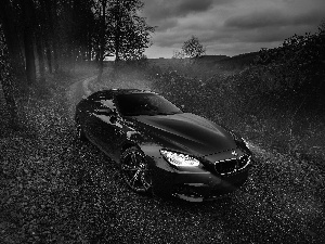 trees, viewes, 2014, Way, BMW M6 Gran Coupe AC Schnitzer