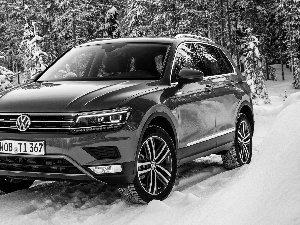 winter, Volkswagen Tiguan, 2017