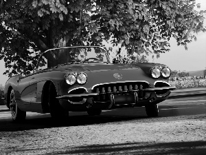 Chevrolet Corvette, 1960, Red, antique, Forza Horizon 4