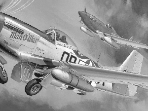 Mustang, P-51