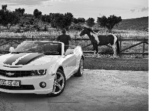 Horse, Chevrolet, a man