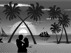 a man, Women, Beaches, Palms, sea