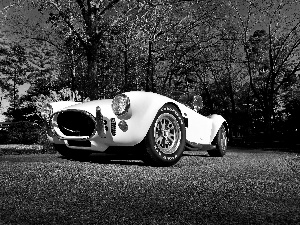 antique, Shelby, 1967, AC Cobra 427