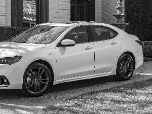 Acura TLX