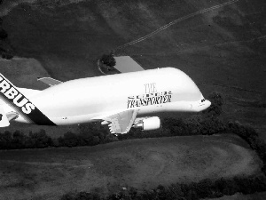 Airbus A300 600ST Beluga