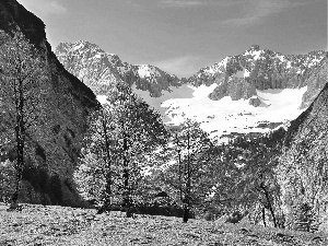 trees, Mountains, Alps, Austria, viewes, snow