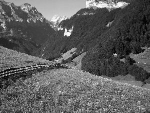 Meadow, Mountains, Alps, Switzerland, fence, forest