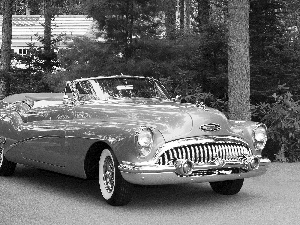 Buick Skylark 53, antique, AMERICAN