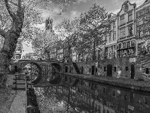 trees, apartment house, Amsterdam, Netherlands, canal, Houses