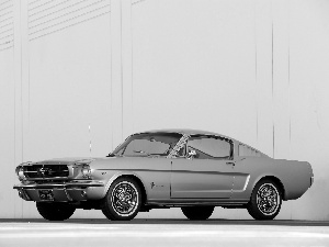 Gray, Automobile, antique, Mustang