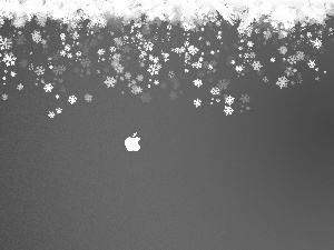 Apple, flakes, snow