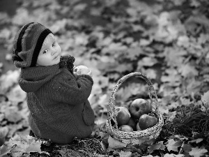 Leaf, girl, apples, autumn, basket, Meadow