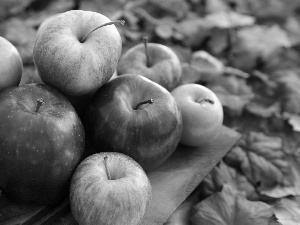 color, apples