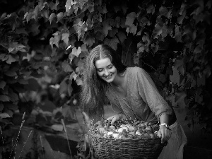 apples, harvest, orchard, basket, Women