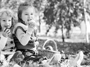 Kids, basket, apples, Meadow
