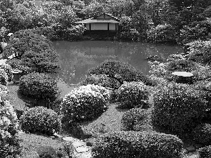 japanese, Pond - car, arbour, Garden