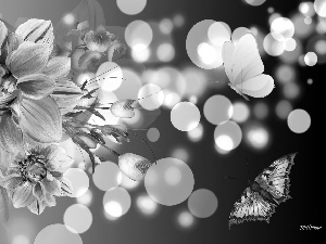 Flowers, Bokeh, Art, butterflies