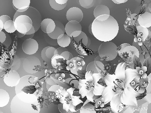 Flowers, Bokeh, Art, butterflies