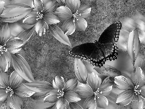 Flowers, butterfly, Art, hibiskus