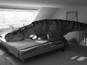 White Bed, dinosaur, attic