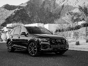 Audi Q7, 2020