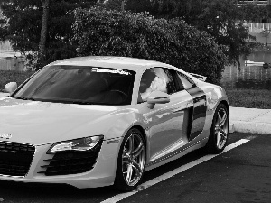 Audi R8, fountain