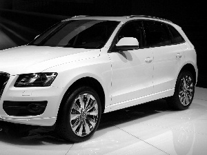 show, White, Audi Q5