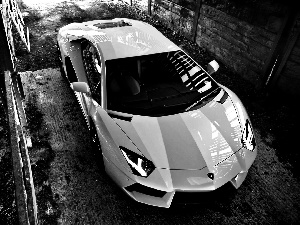 Automobile, ##, Aventador, Yellow, Lamborghini