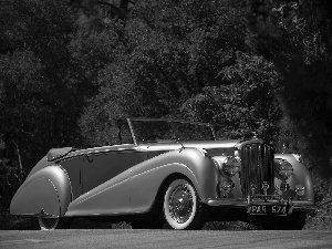 antique, Bentley Mark VI, Automobile