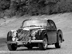 antique, Bentley S2 Continental, Automobile