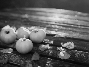 apples, Bench, autumn, Leaf