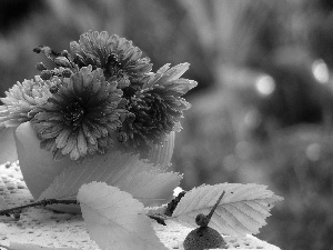 small bunch, twig, autumn, chrysanthemums