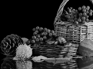 Baskets, Plant, harvest, cones, chestnuts, Autumn, composition