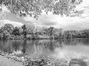 lake, viewes, autumn, trees