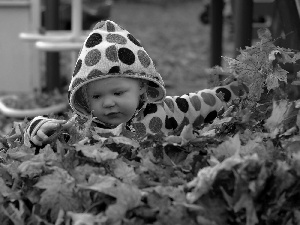 autumn, girl, Leaf