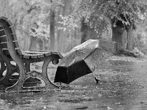 autumn, Rain, Bench, Umbrella, Park