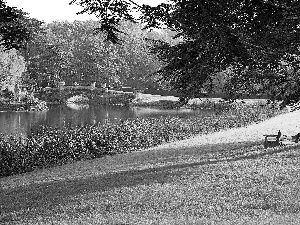 River, Park, autumn, bridges