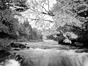 River, viewes, autumn, trees