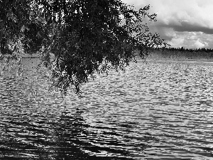 autumn, lake, trees