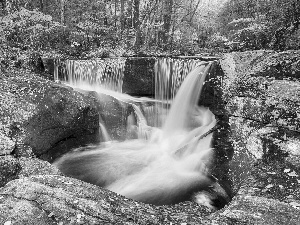 waterfall, forest, autumn, rocks