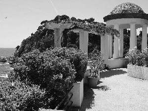 column, rhododendron, arbour, sea